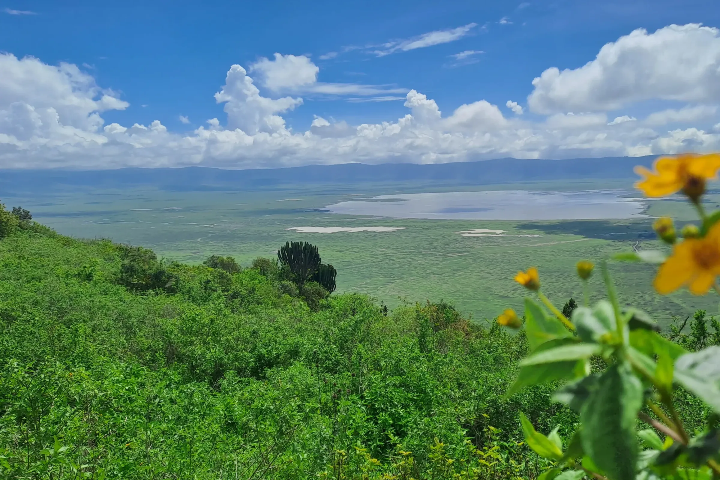 Crater Floor Grasslands