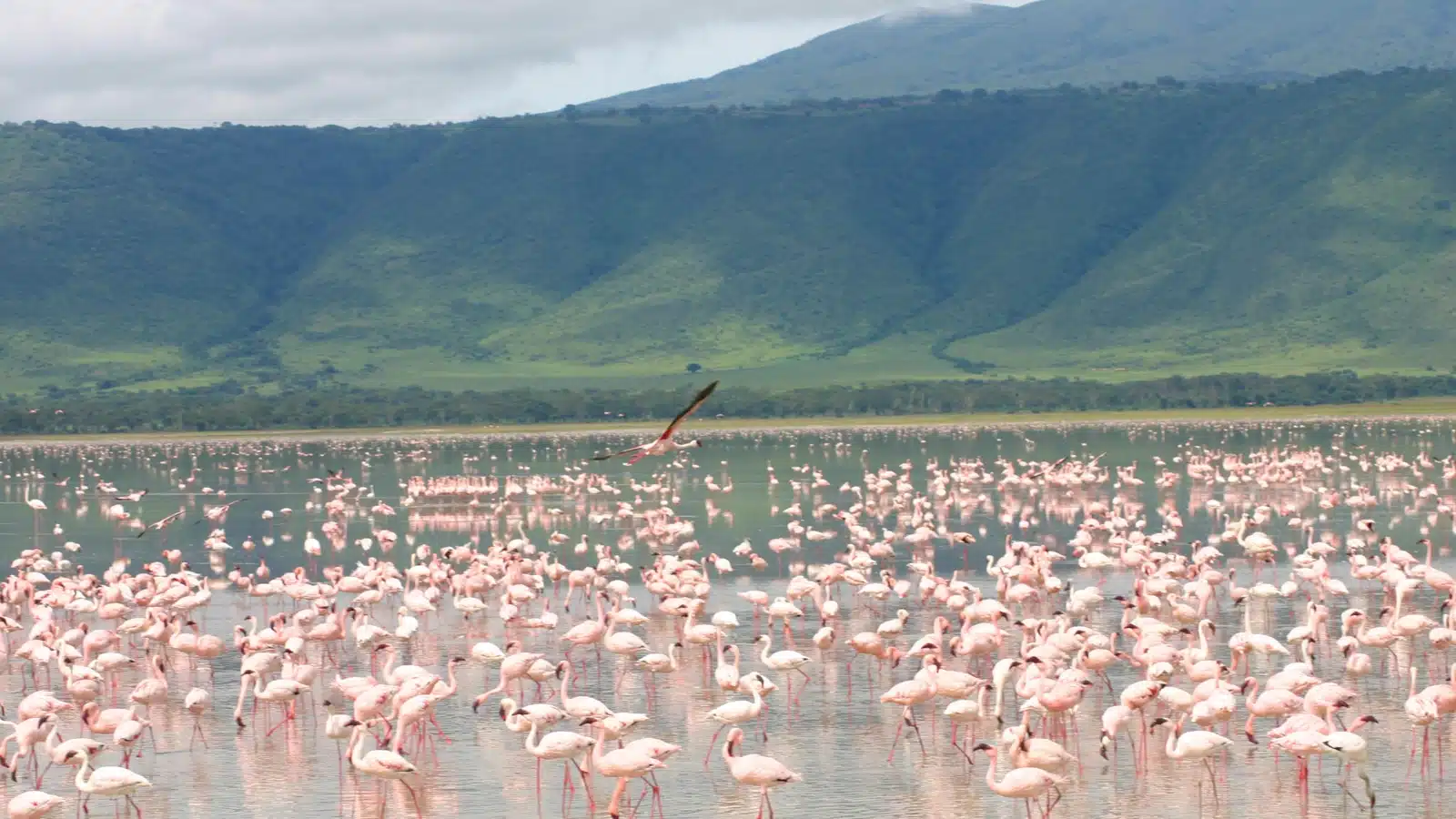 Lake Magadi (Soda Lake)