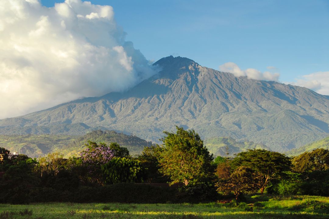 Ngurdoto Crater (Mini Ngorongoro)