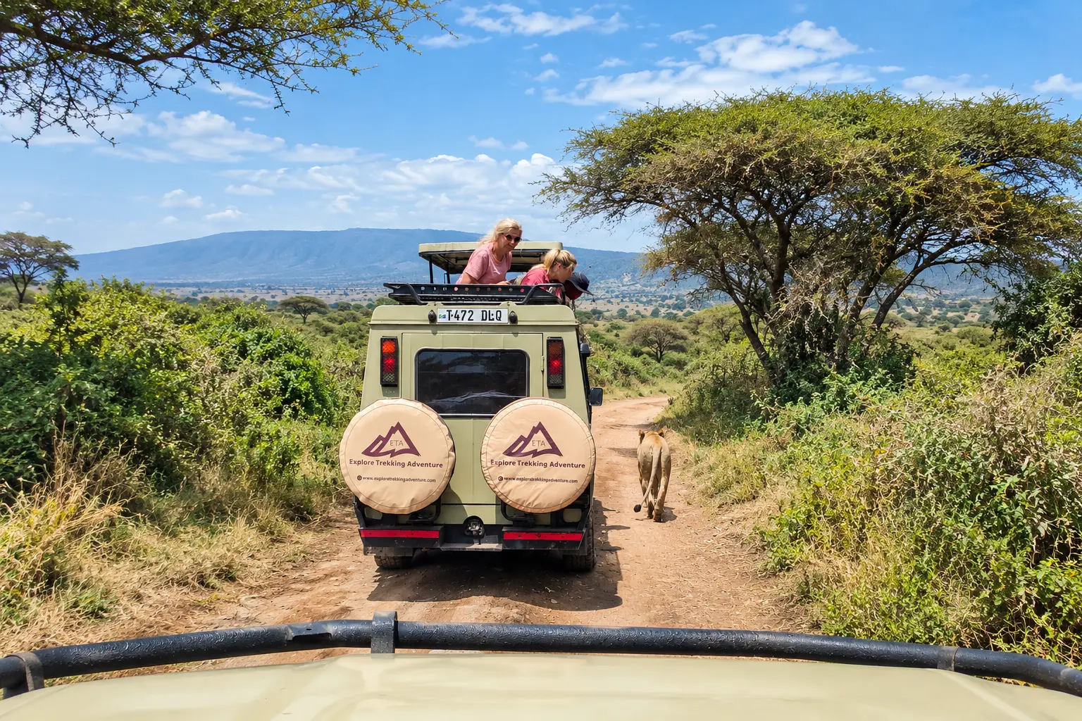 tanzania safari