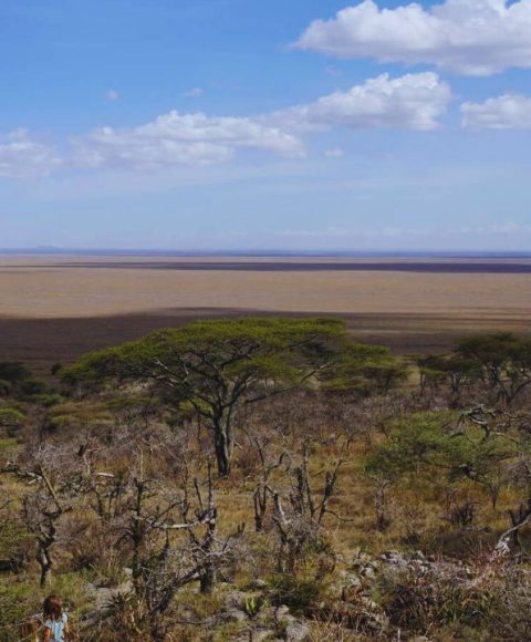 _lake eyasi