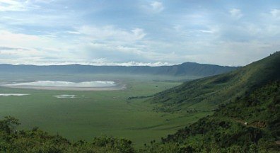 Ngorongoro Crater Day Trip from Arusha/Moshi