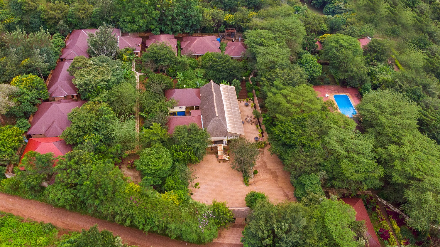 Eileen’s Trees Inn