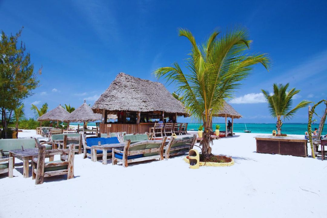 Why Zanzibar Should Be on Your Bucket List: Paradise Found in the Indian Ocean