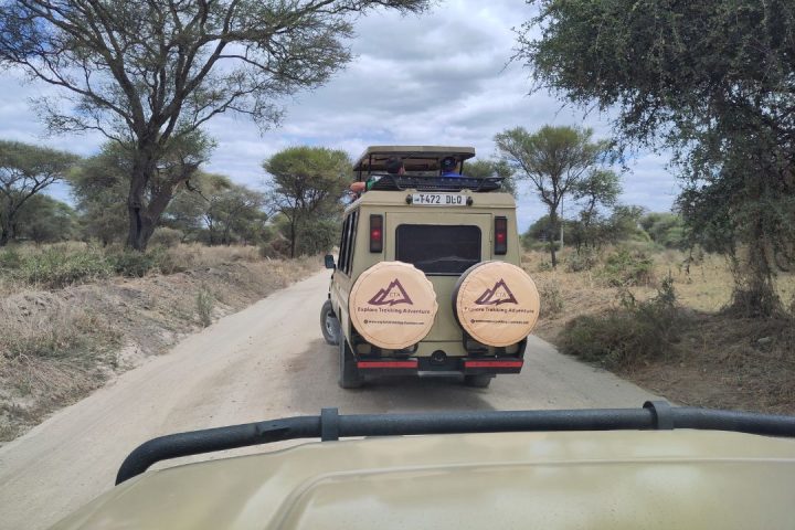 Our Safari Fleet on the way to the wild