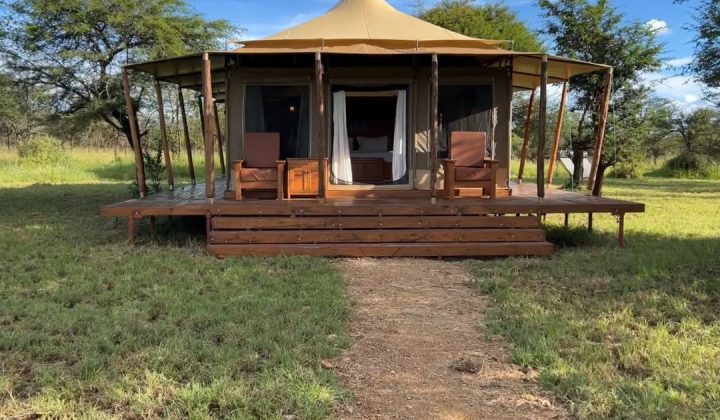 Into the Wild Africa (1)