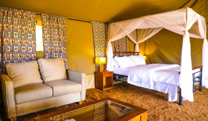 Into the Wild Africa (1)