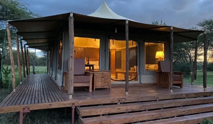 Into the Wild Africa (4)