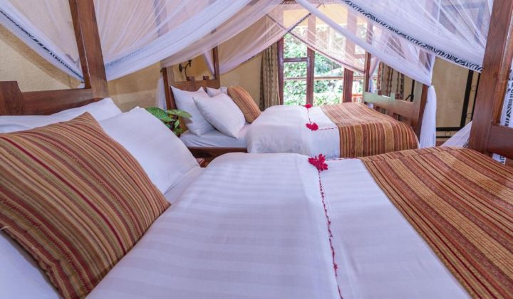 Kudu-Lodge-Campsite