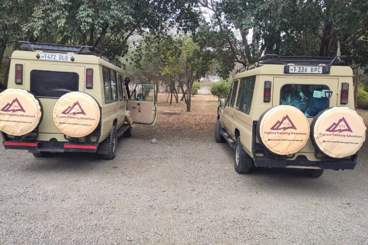 Safari Vehicle