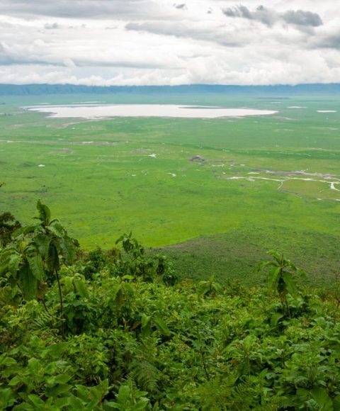ngorongoro Np (2)