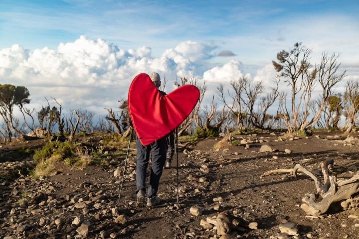 ten days Northern Circuit Safari